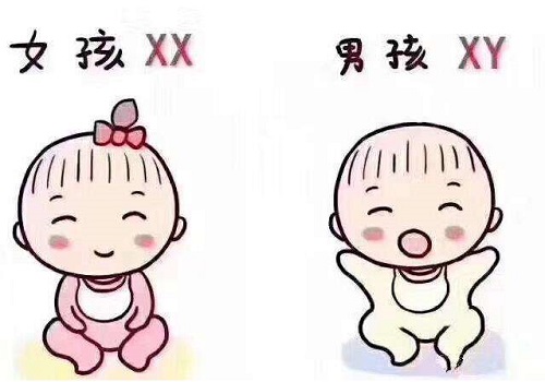 2022年香港三代試管嬰兒大概多少錢？
