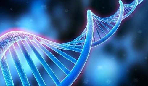 2022哈爾濱第三代試管嬰兒醫(yī)院排名一覽