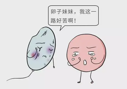 試管嬰兒費用一次大概要多少錢？