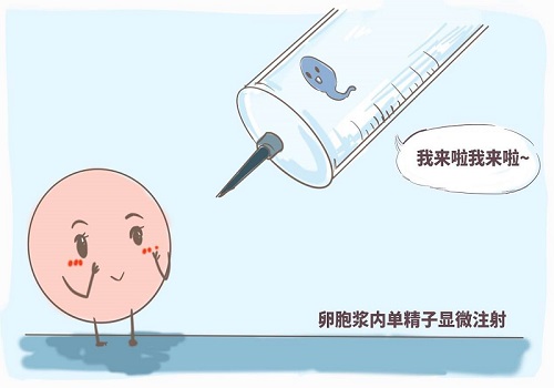 試管嬰兒費用明細參考