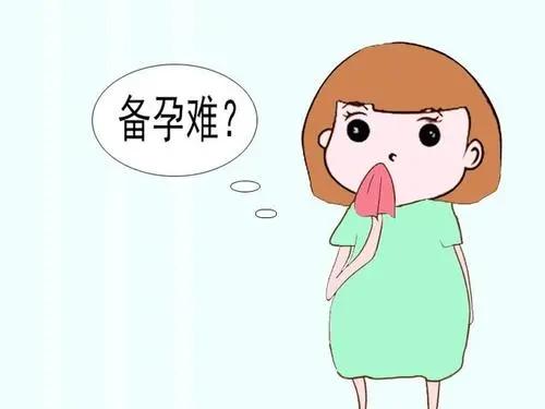 試管嬰兒的錢花在哪里了