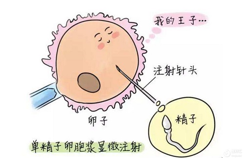 試管嬰兒費(fèi)用總共多少？三代試管費(fèi)用會(huì)增加嗎？