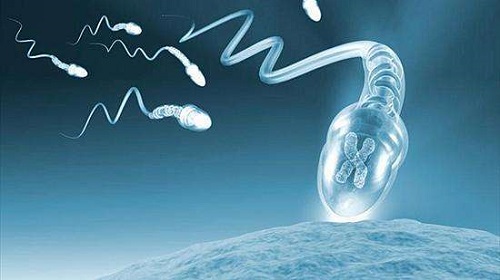 2022哈爾濱第三代試管嬰兒價(jià)格貴么？