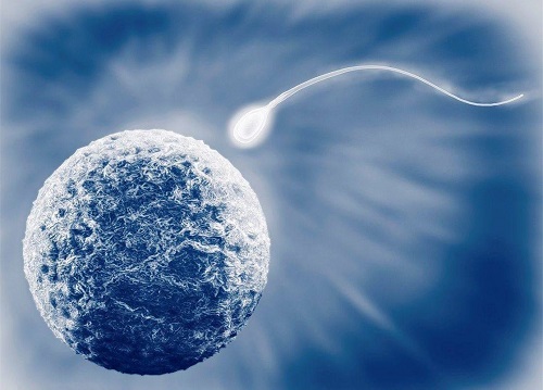 2022廈門第三代試管嬰兒費用明細有嗎？