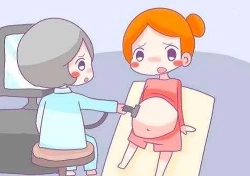 試管多少錢？?