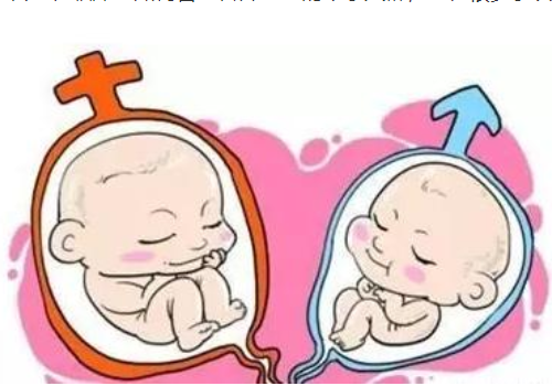 試管嬰兒醫(yī)院排名哪家好？