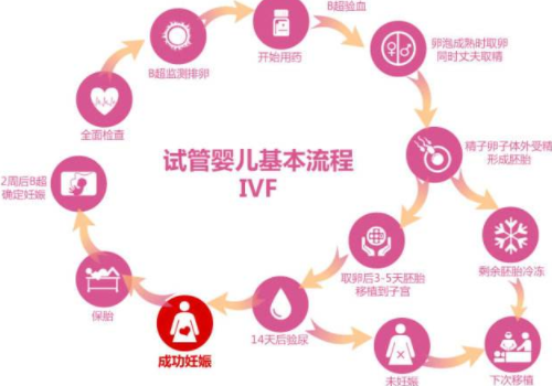 美國試管嬰兒費用流程？