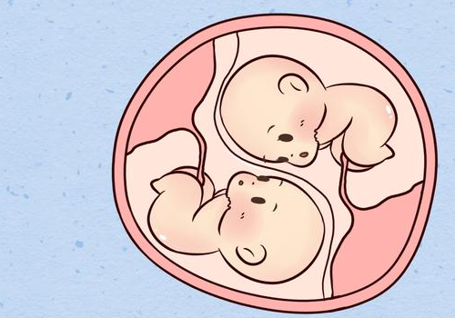 美國加州試管嬰兒？?
