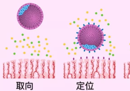 泰國試管攻略為什么比國內(nèi)費用高？