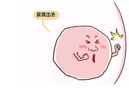美國試管流程？