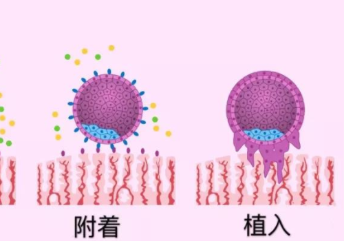 俄羅斯試管嬰兒好的醫(yī)院？?
